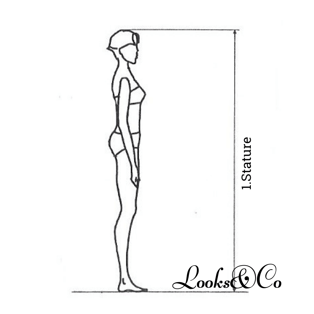 mesures pantalon femme looks and co