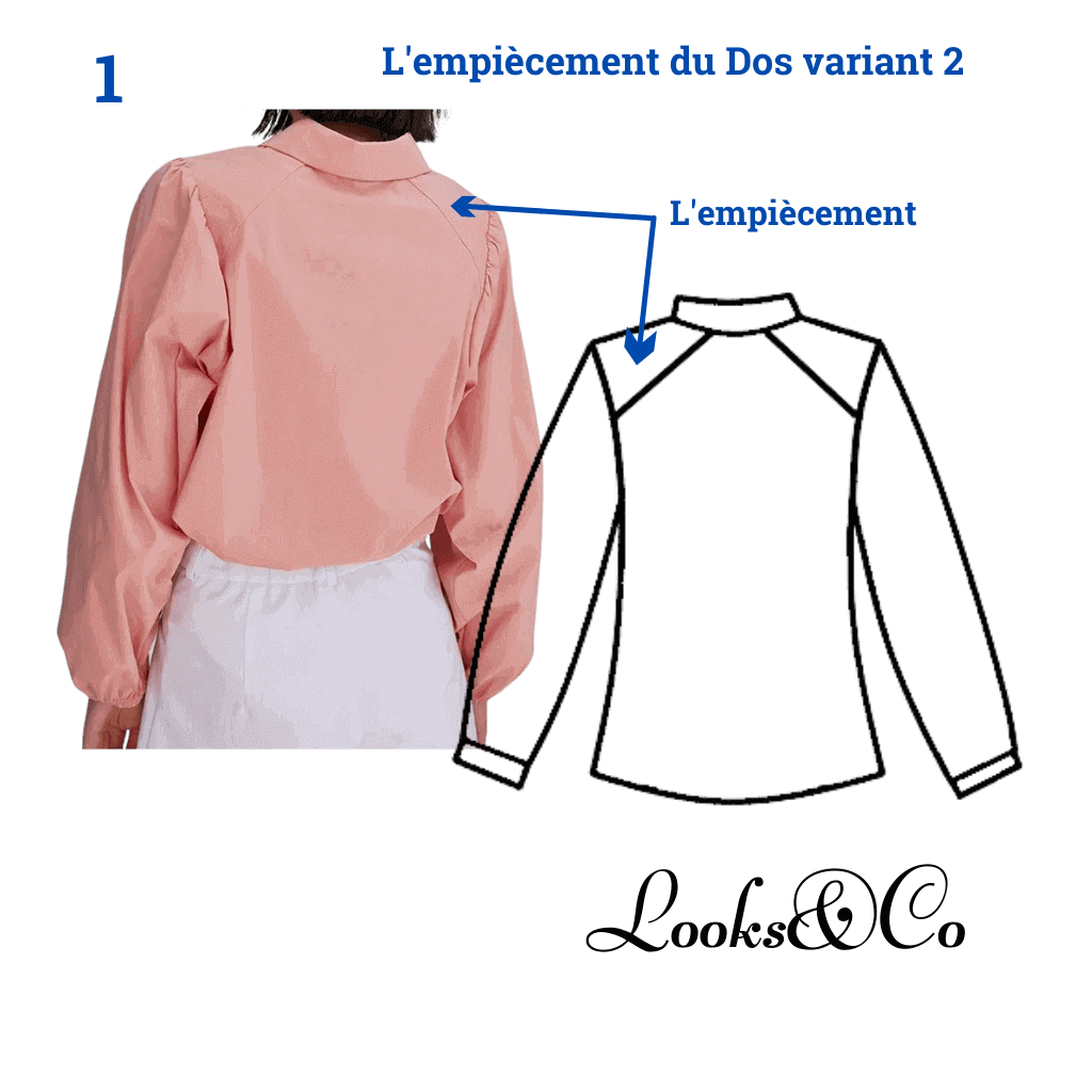 Pince d'épaule. Variations de transformation looks and co